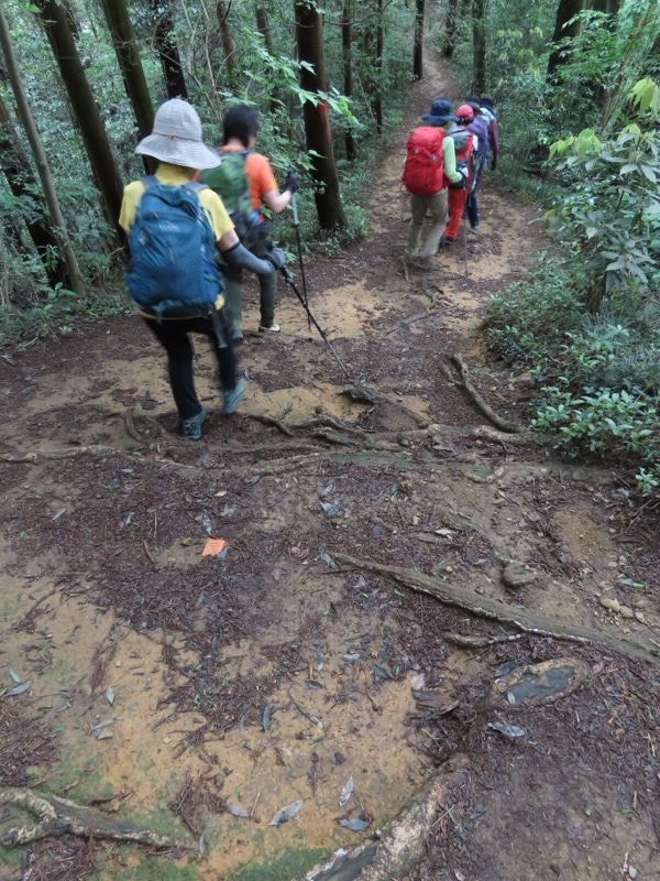 赤ぼっこ、長渕山ハイキングコース