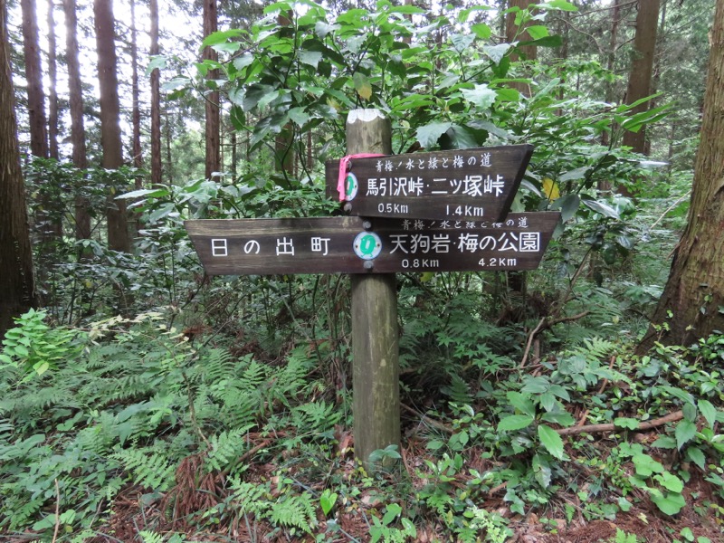 赤ぼっこ、長渕山ハイキングコース