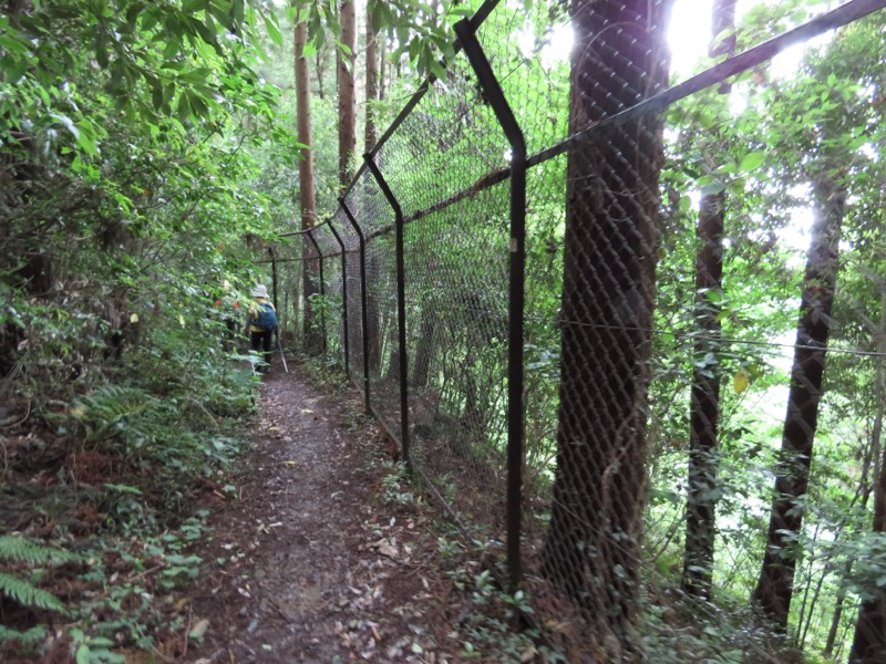 赤ぼっこ、長渕山ハイキングコース