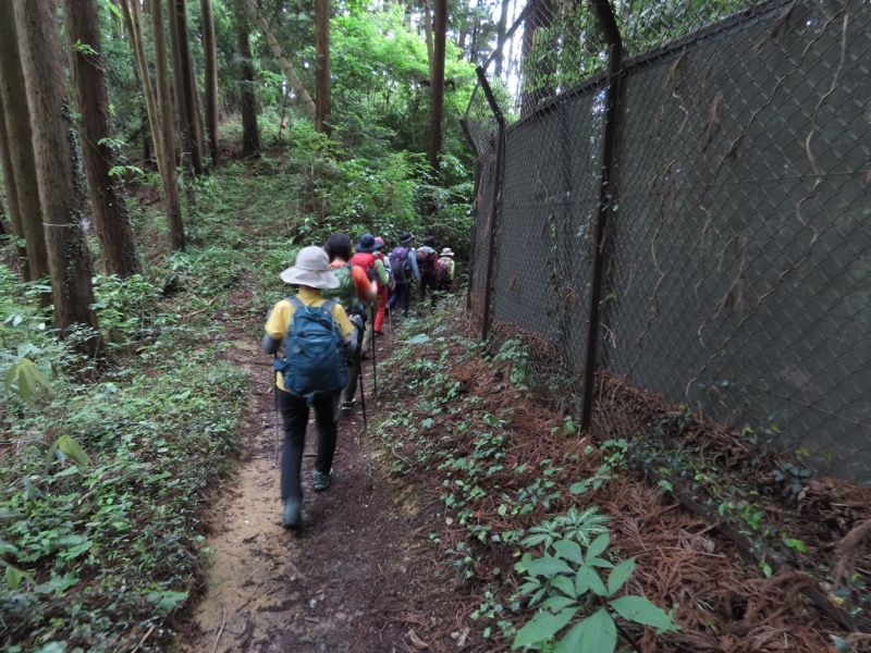 赤ぼっこ、長渕山ハイキングコース