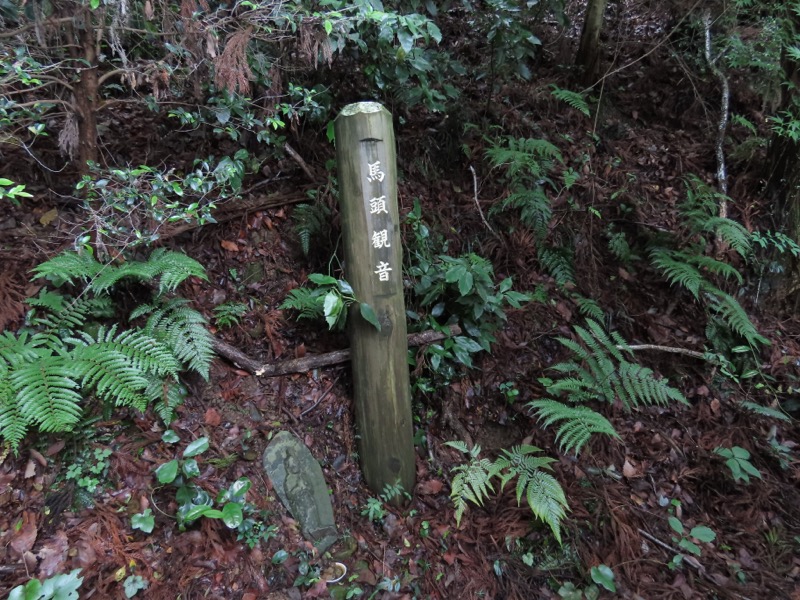 赤ぼっこ、長渕山ハイキングコース