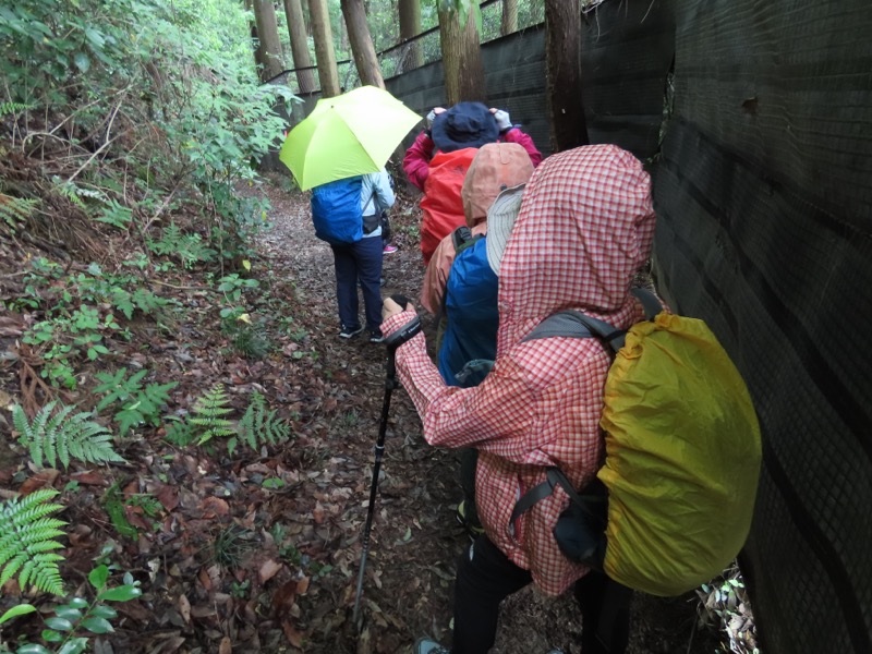 赤ぼっこ、長渕山ハイキングコース