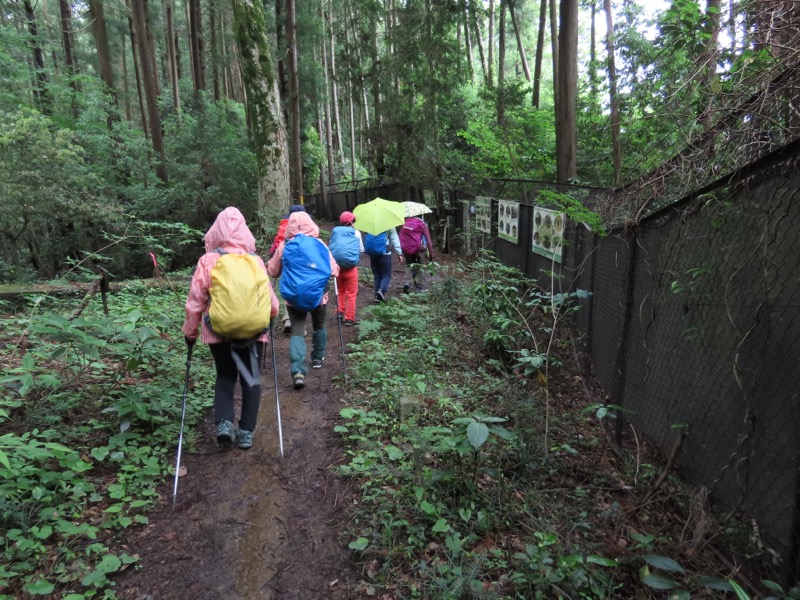 赤ぼっこ、長渕山ハイキングコース