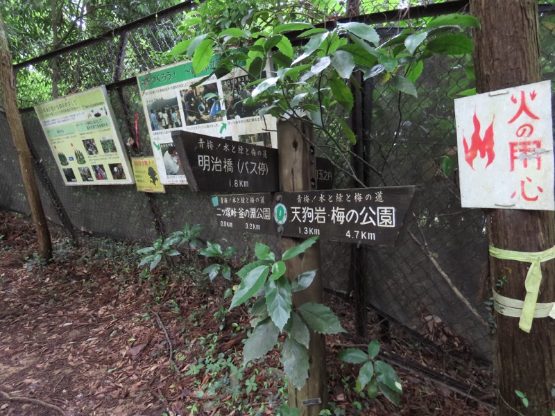 赤ぼっこ、長渕山ハイキングコース