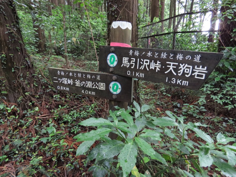 赤ぼっこ、長渕山ハイキングコース