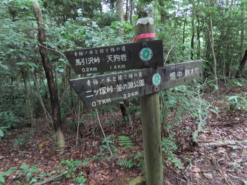 赤ぼっこ、長渕山ハイキングコース