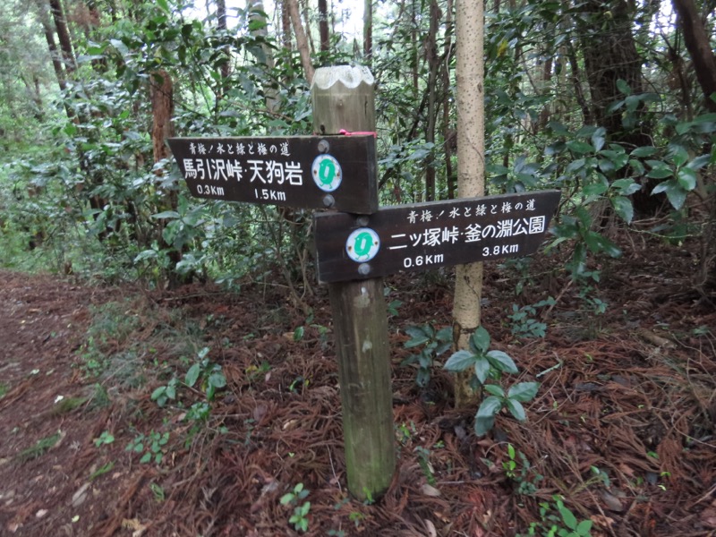 赤ぼっこ、長渕山ハイキングコース