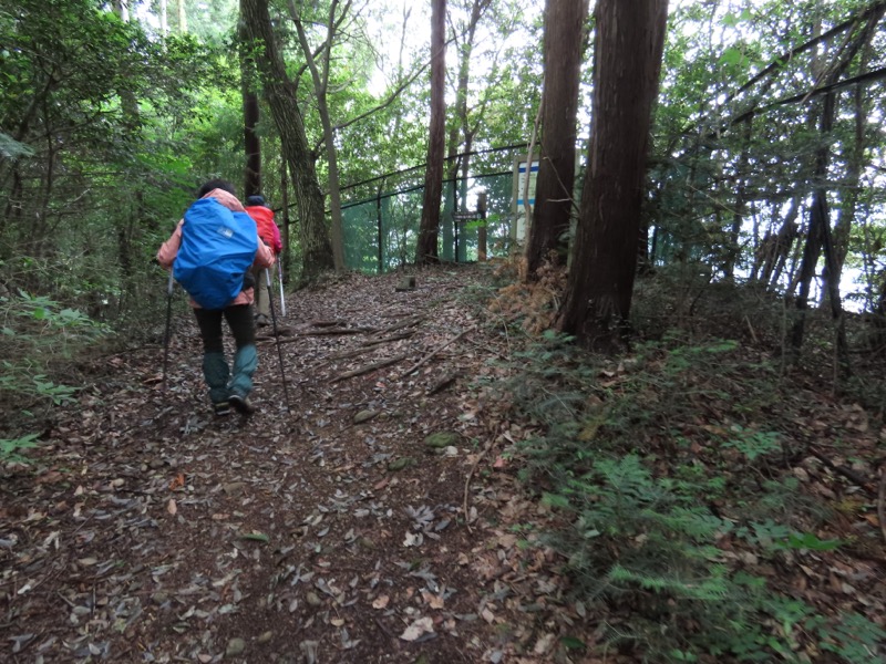 赤ぼっこ、長渕山ハイキングコース