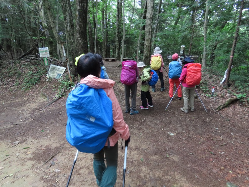 赤ぼっこ、長渕山ハイキングコース