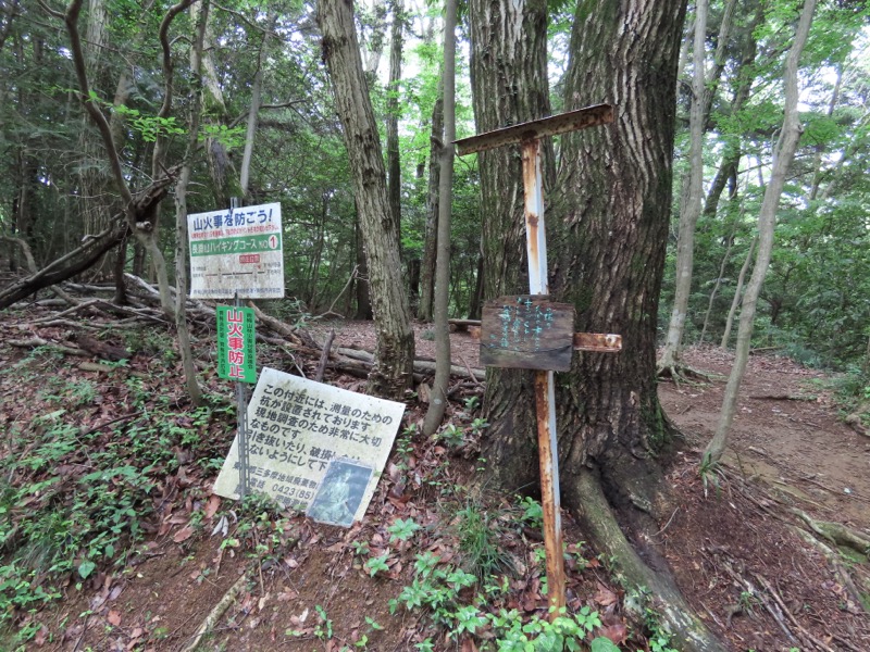 赤ぼっこ、長渕山ハイキングコース