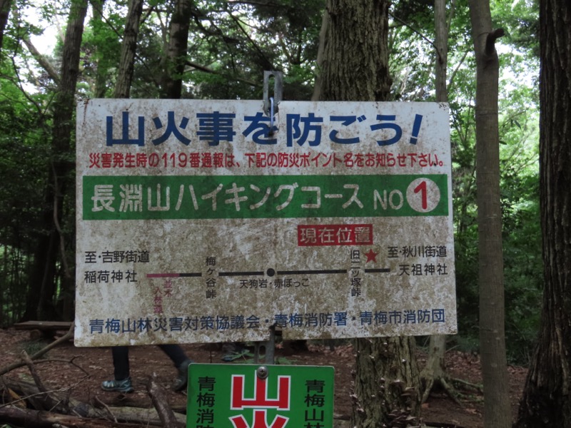 赤ぼっこ、長渕山ハイキングコース