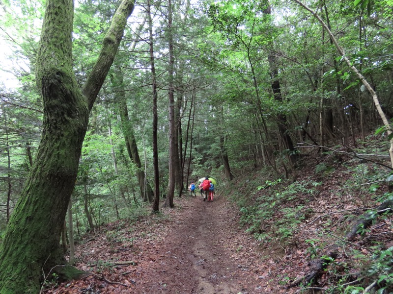 赤ぼっこ、長渕山ハイキングコース