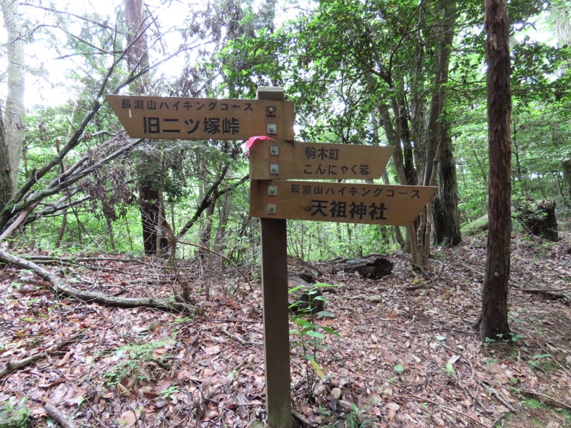 赤ぼっこ、長渕山ハイキングコース