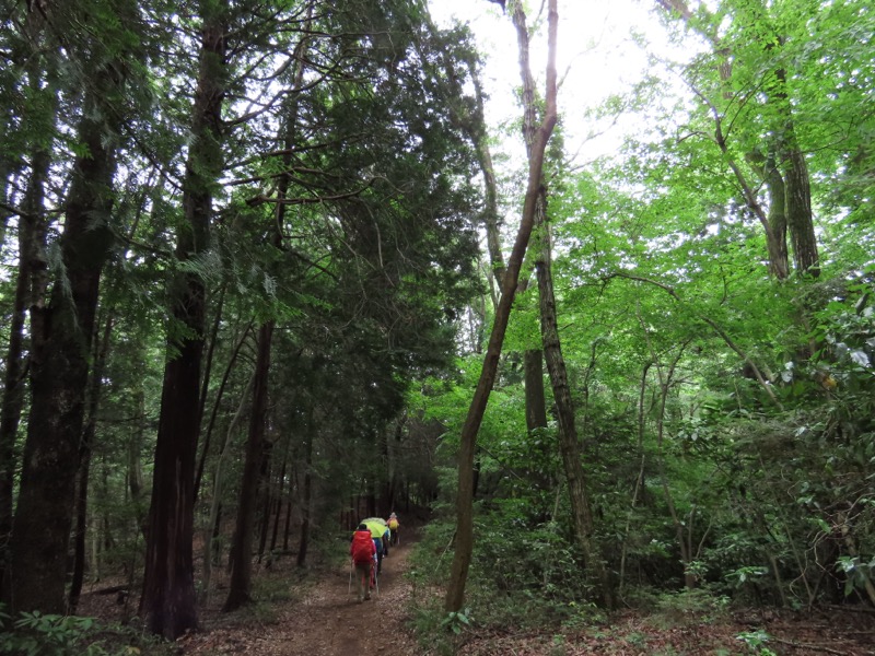 赤ぼっこ、長渕山ハイキングコース