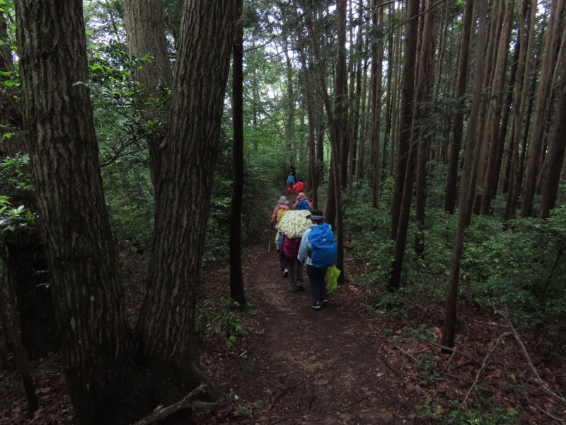 赤ぼっこ、長渕山ハイキングコース