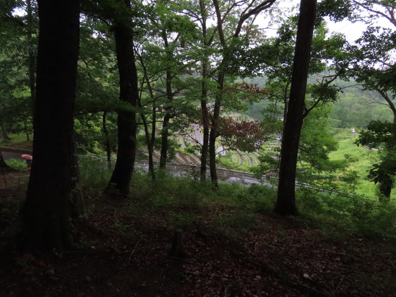 赤ぼっこ、長渕山ハイキングコース