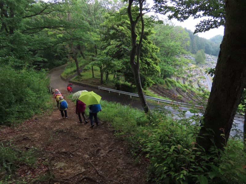 赤ぼっこ、長渕山ハイキングコース