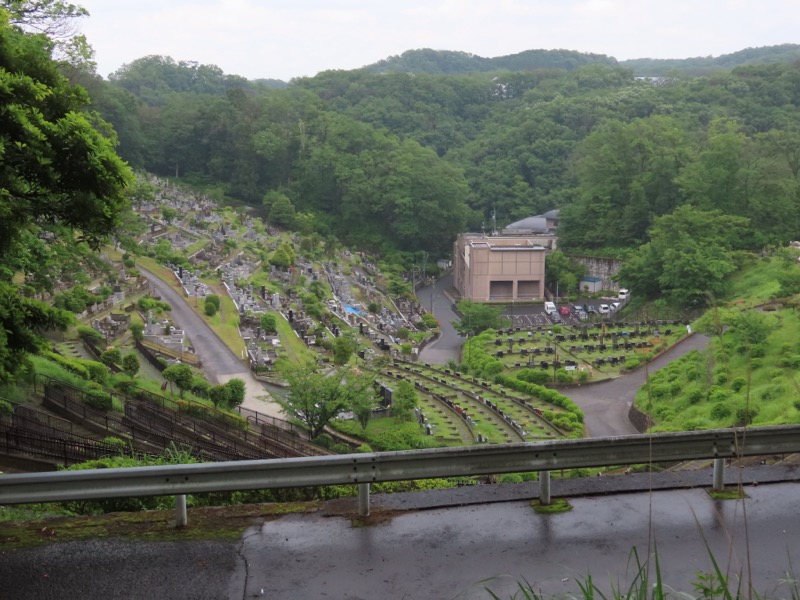 赤ぼっこ、長渕山ハイキングコース