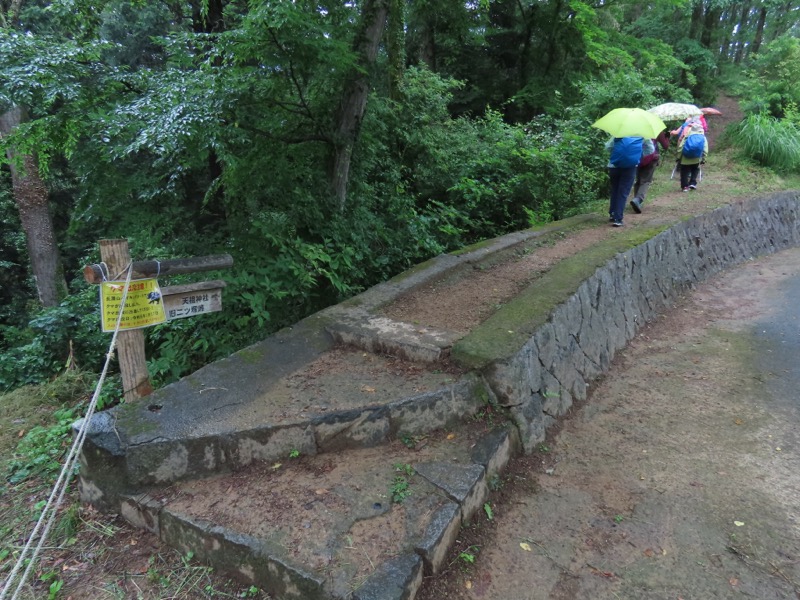 赤ぼっこ、長渕山ハイキングコース