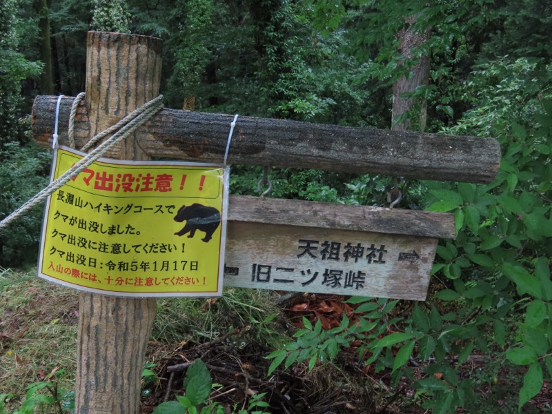 赤ぼっこ、長渕山ハイキングコース