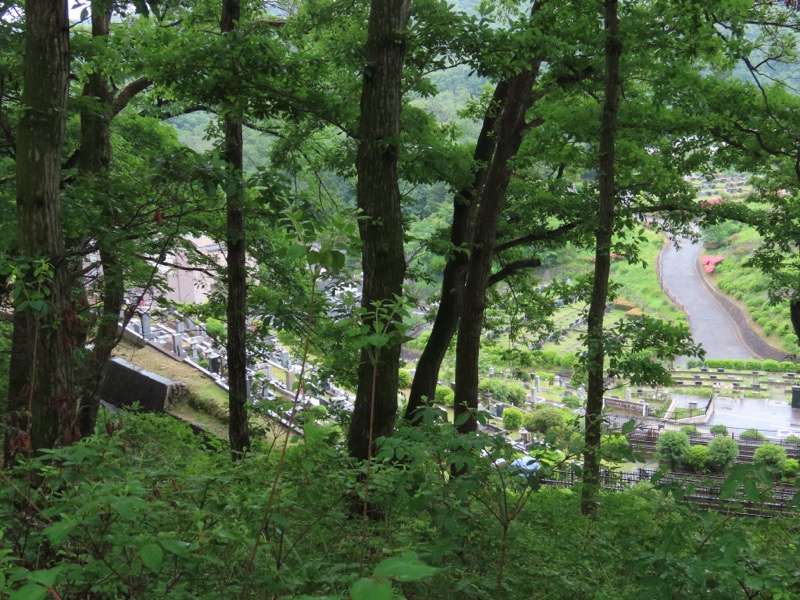 赤ぼっこ、長渕山ハイキングコース