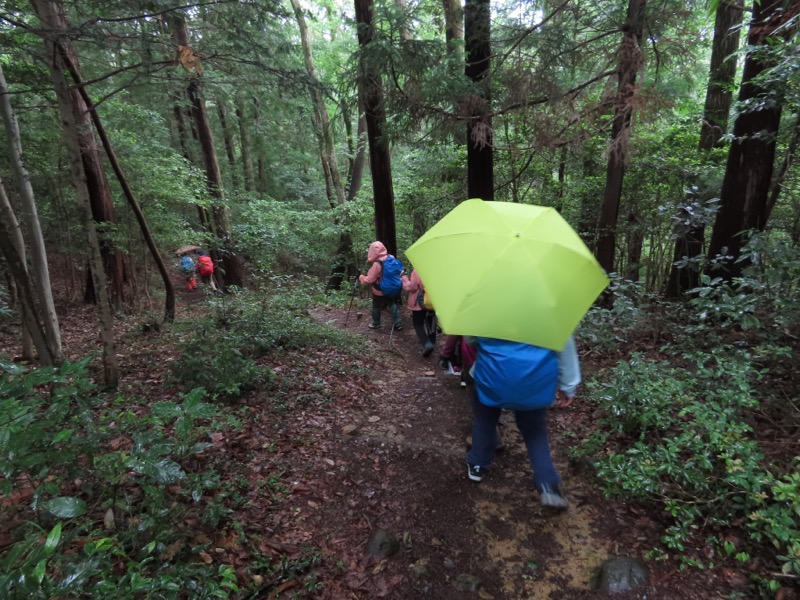 赤ぼっこ、長渕山ハイキングコース