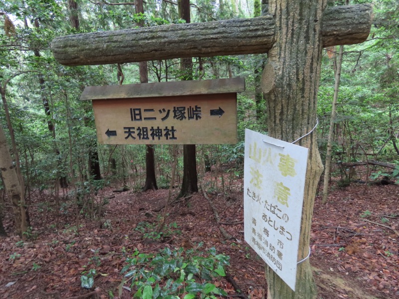 赤ぼっこ、長渕山ハイキングコース