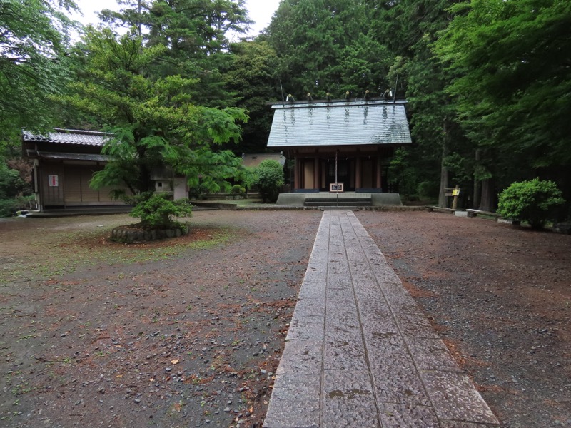 赤ぼっこ、長渕山ハイキングコース