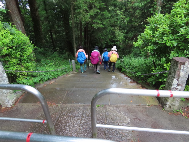 赤ぼっこ、長渕山ハイキングコース