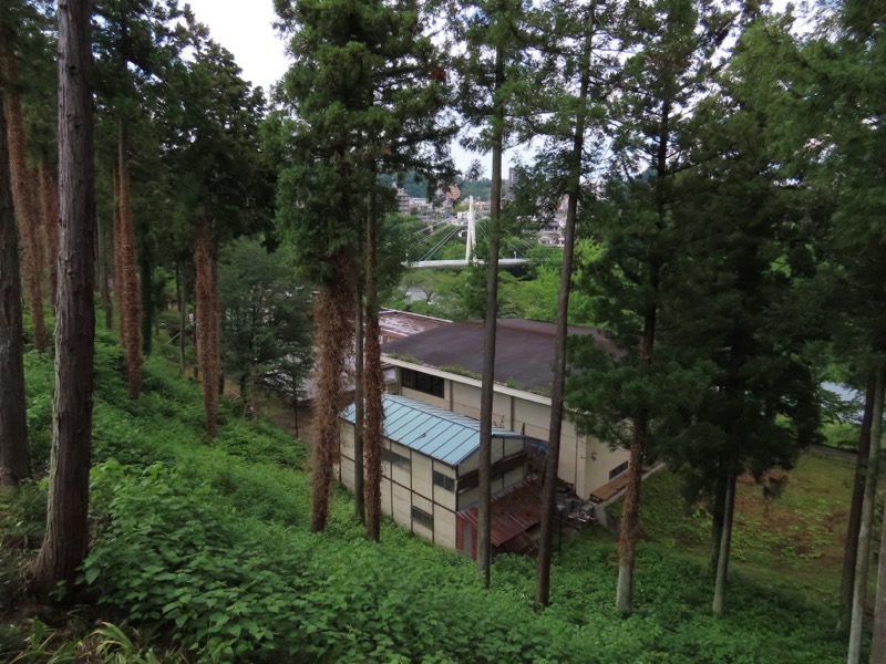 赤ぼっこ、長渕山ハイキングコース