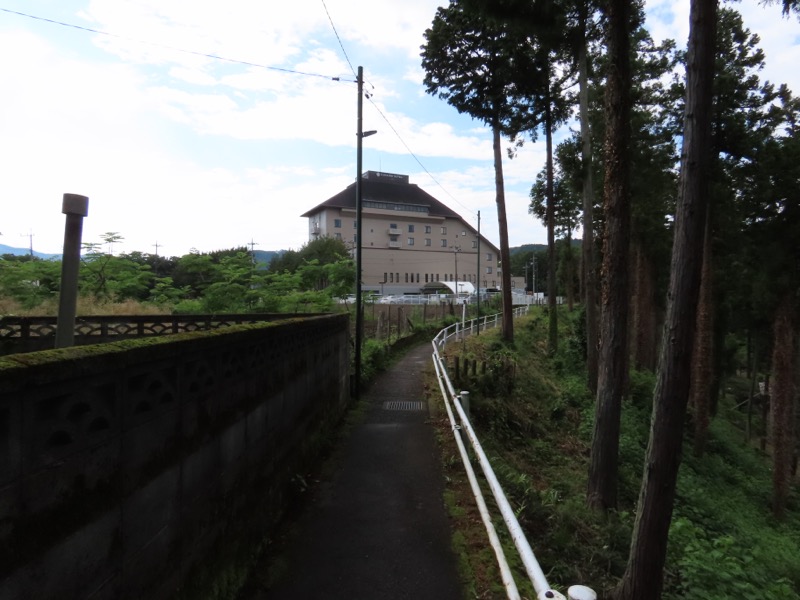 赤ぼっこ、長渕山ハイキングコース