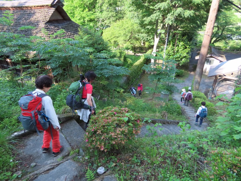 赤ぼっこ、長渕山ハイキングコース