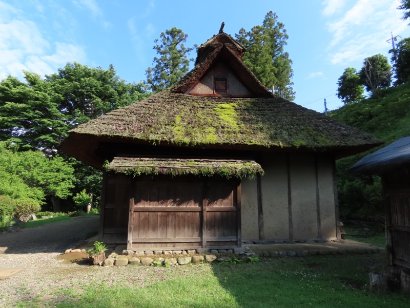 赤ぼっこ、長渕山ハイキングコース