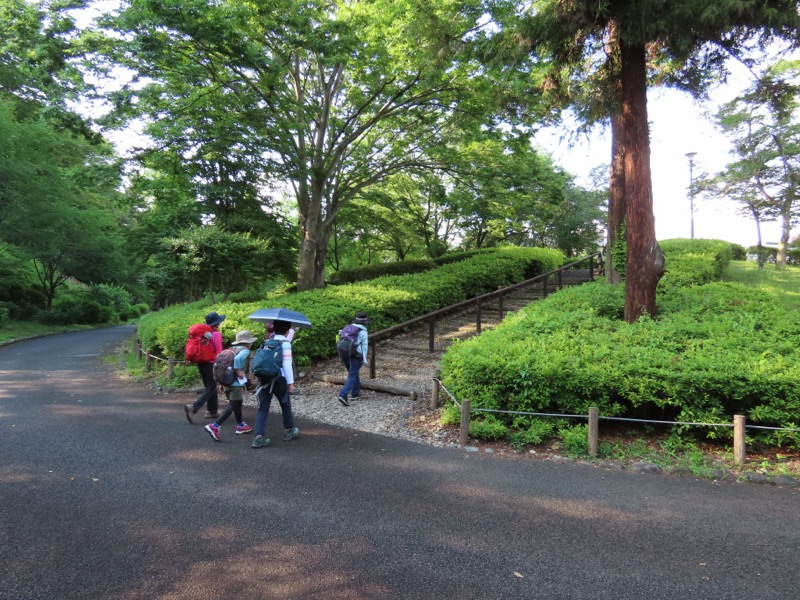 赤ぼっこ、長渕山ハイキングコース