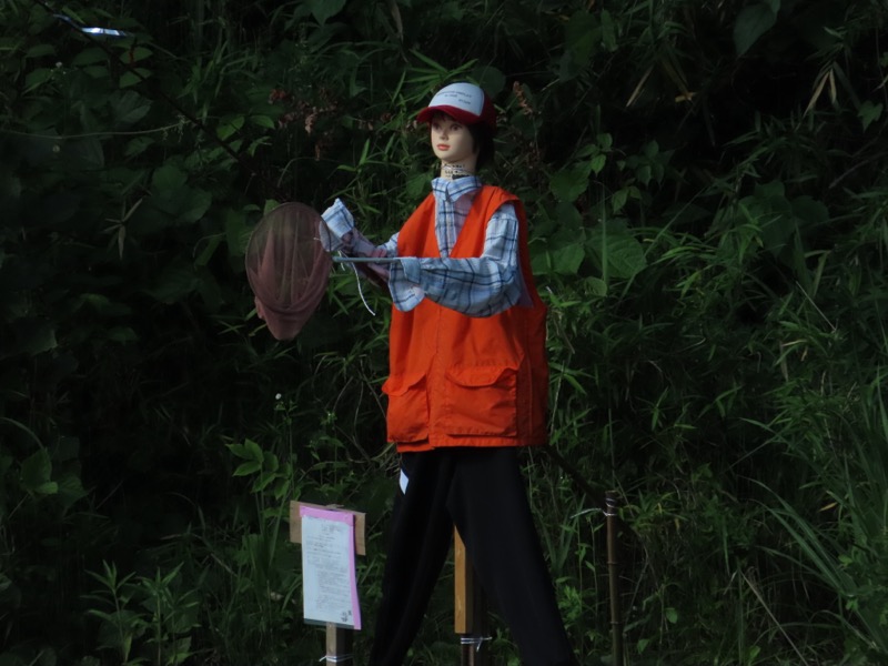 赤ぼっこ、長渕山ハイキングコース