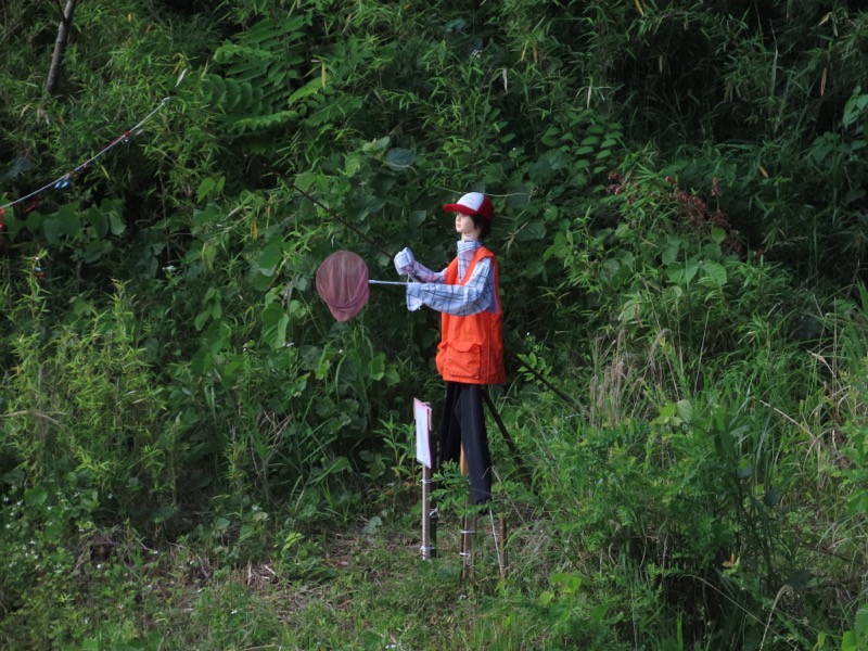 赤ぼっこ、長渕山ハイキングコース