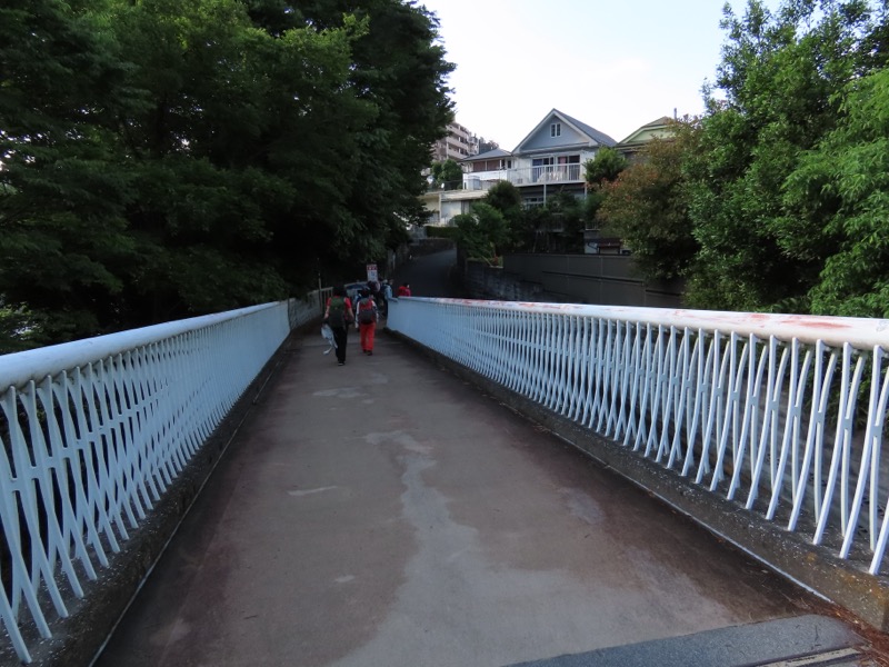 赤ぼっこ、長渕山ハイキングコース