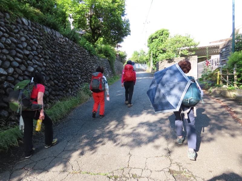 赤ぼっこ、長渕山ハイキングコース