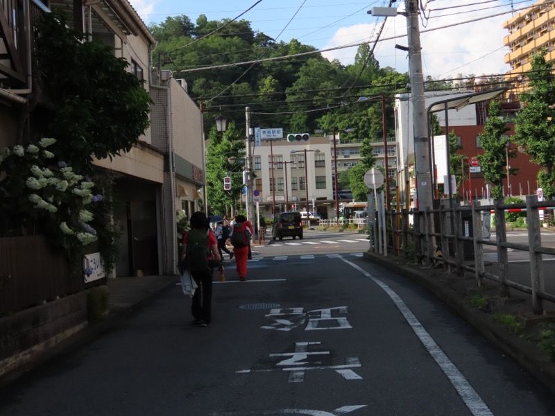 赤ぼっこ、長渕山ハイキングコース