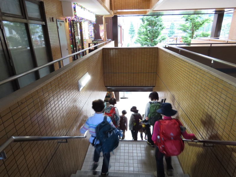 赤ぼっこ、長渕山ハイキングコース