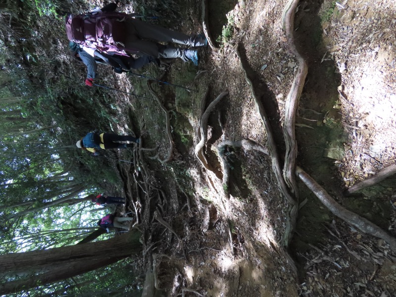 今熊山、金剛の滝、黒茶屋、戸倉城山