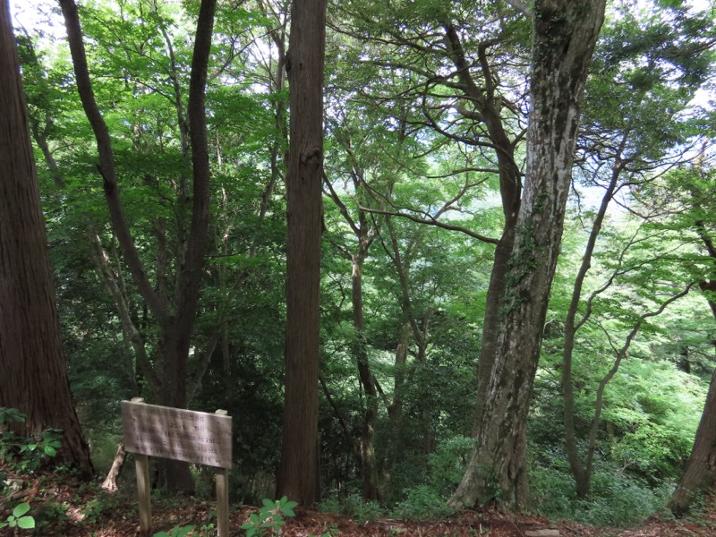 今熊山、金剛の滝、黒茶屋、戸倉城山