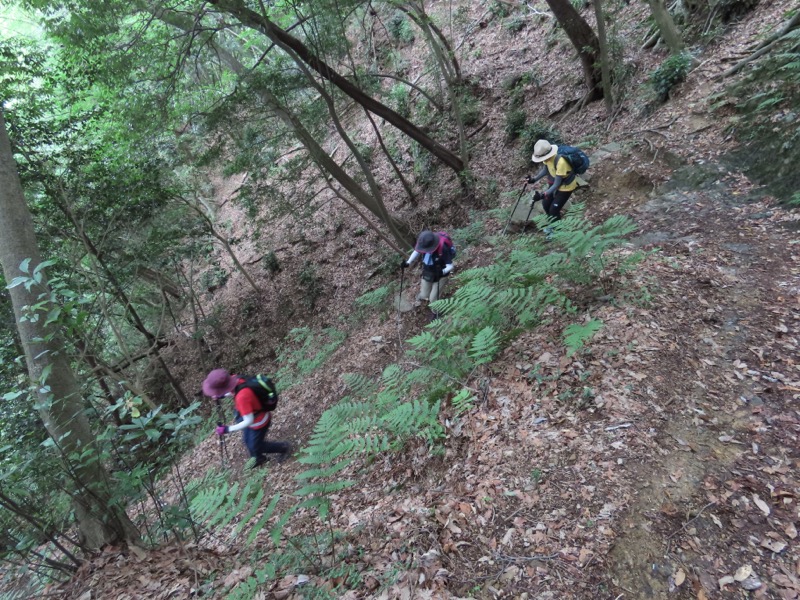 今熊山、金剛の滝、黒茶屋、戸倉城山