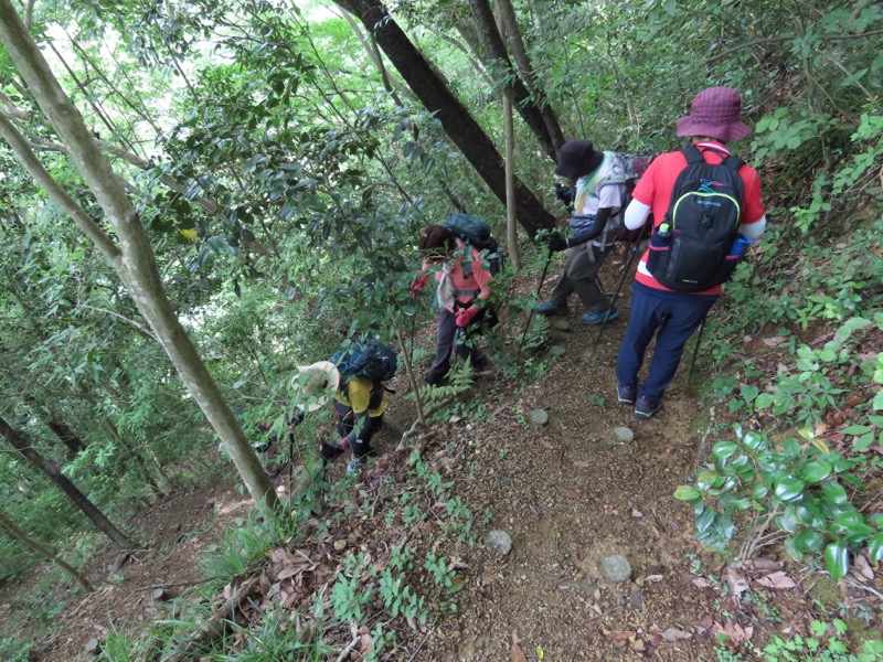 今熊山、金剛の滝、黒茶屋、戸倉城山