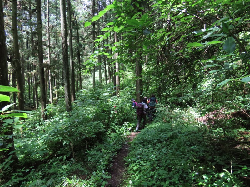 今熊山、金剛の滝、黒茶屋、戸倉城山