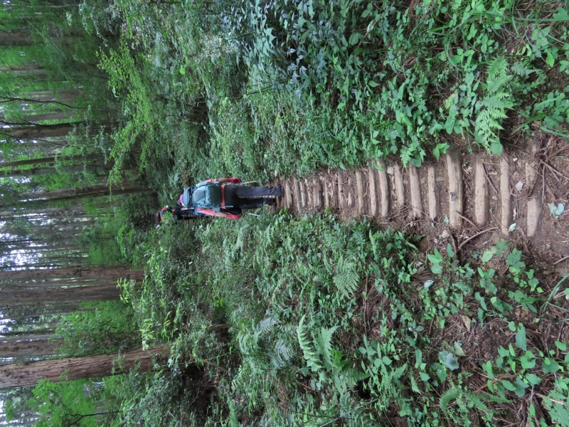 今熊山、金剛の滝、黒茶屋、戸倉城山