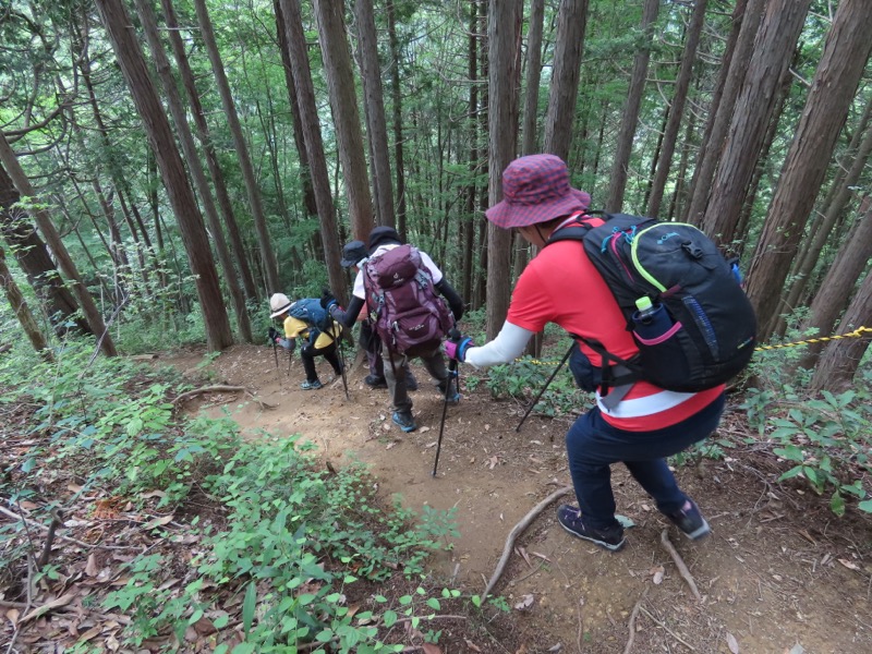 今熊山、金剛の滝、黒茶屋、戸倉城山