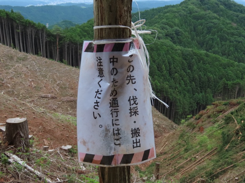 金毘羅尾根