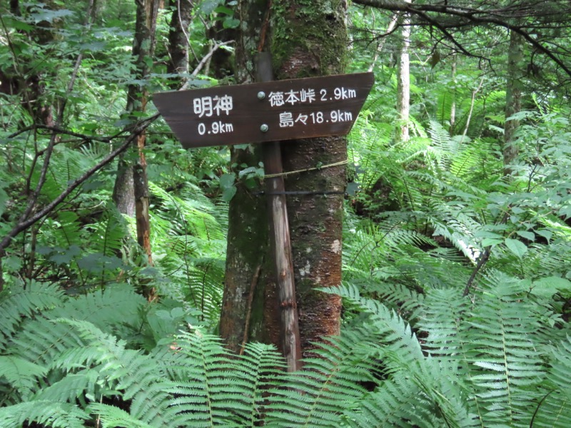 上高地、明神、徳本峠