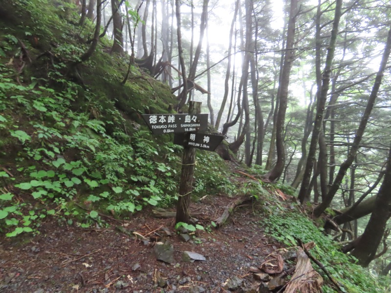 上高地、明神、徳本峠